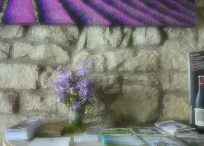 Casa Rural Kandela Etxea *